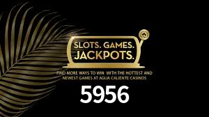 5956: Seu Cassino Premiado com Pagamentos Rápidos