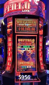 Ofertas Imperdíveis na 5956: Promoções e Bônus Que Valem a Pena