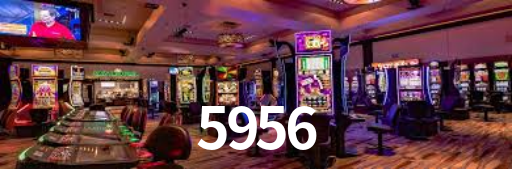 5956
